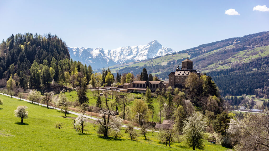 Frühlingslandschaft in der Region Domleschg mit Blick auf Burg Ortenstein und Piz Beverin