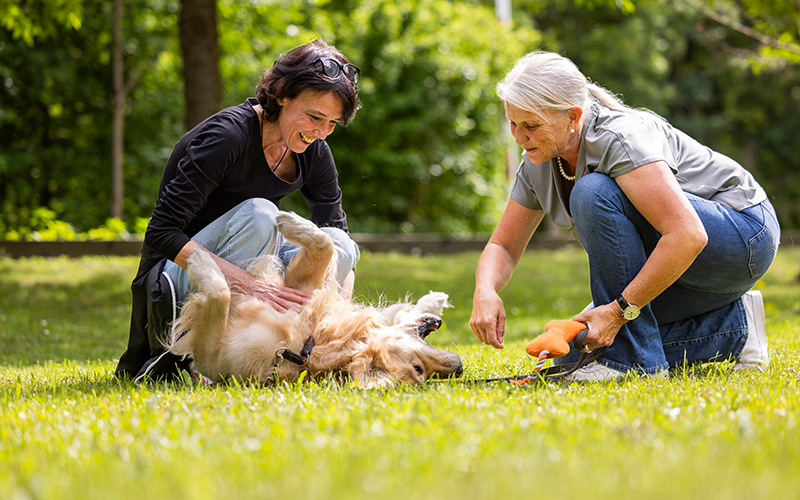 Zwei Personen interagieren mit einem Hund im Garten der MENTALVA