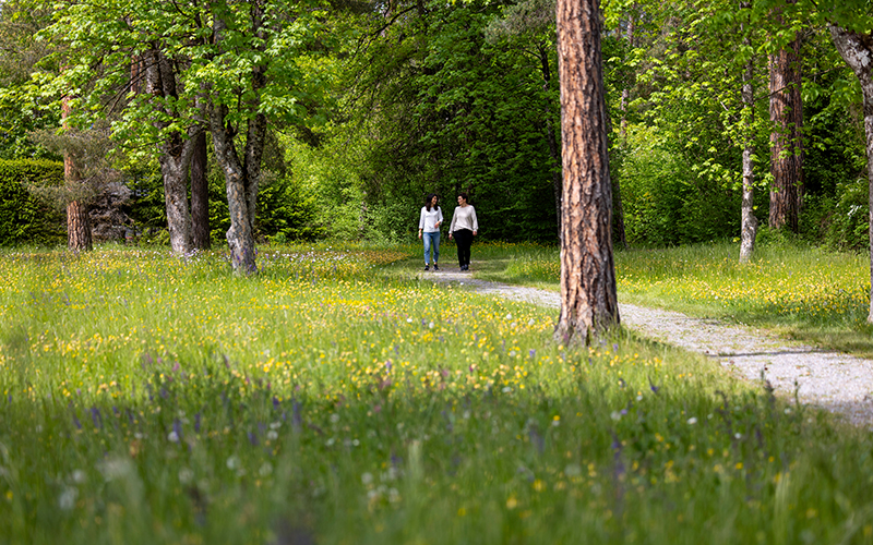 Zwei Personen bei einem Spaziergang im Parkbereich der Klinik Beverin